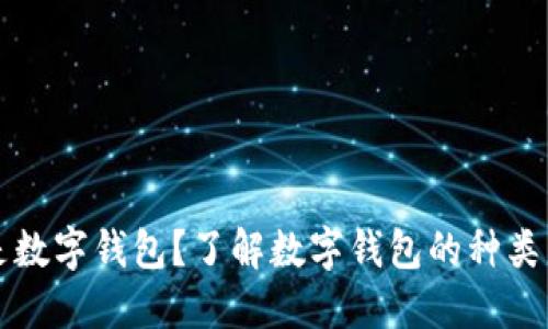 什么是数字钱包？了解数字钱包的种类与功能