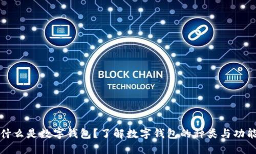 什么是数字钱包？了解数字钱包的种类与功能