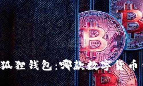 TPWallet与小狐狸钱包：哪款数字货币钱包更适合你？