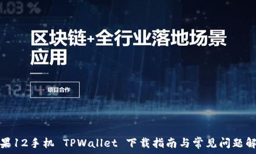  
苹果12手机 TPWallet 下载指南与常见问题解答