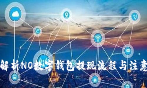 全面解析NO数字钱包提现流程与注意事项