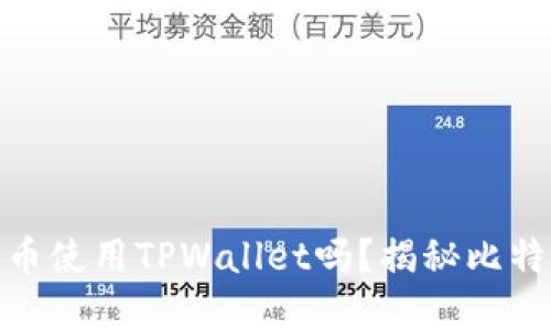 : 中本聪测试币使用TPWallet吗？揭秘比特币背后的秘密