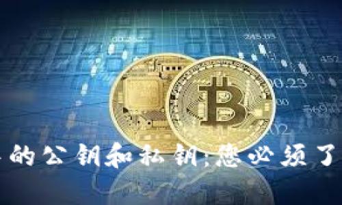 区块链钱包开发中的公钥和私钥：您必须了解的安全基础知识
