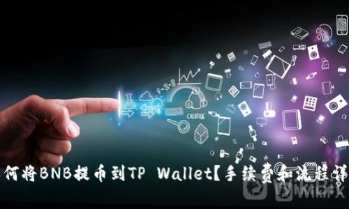 如何将BNB提币到TP Wallet？手续费和流程详解