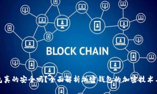 加密钱包真的安全吗？全面解析加密钱包的加密技术与安全性
