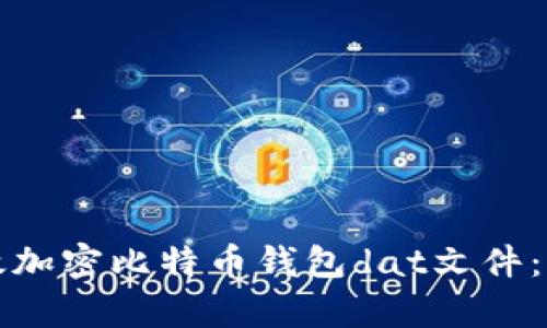 如何有效加密比特币钱包dat文件：全面指南