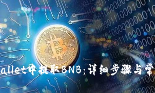 如何在TPWallet中提取BNB：详细步骤与常见问题解答