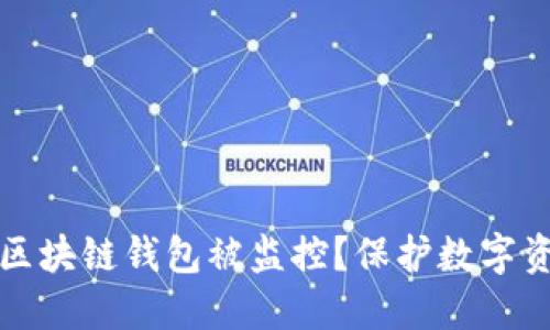 如何防止您的区块链钱包被监控？保护数字资产的全面指南