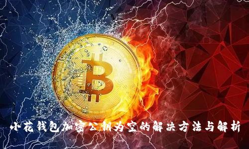 小花钱包加密公钥为空的解决方法与解析