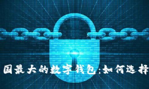 揭开美国最大的数字钱包：如何选择和使用