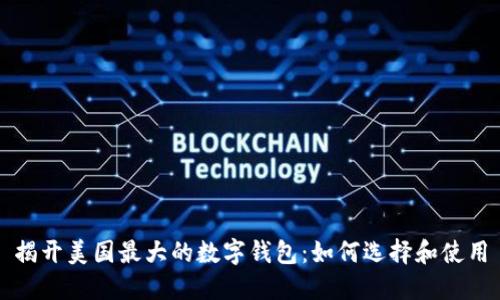 揭开美国最大的数字钱包：如何选择和使用