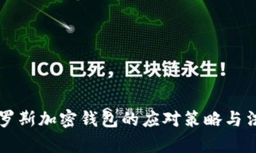 冻结俄罗斯加密钱包的应对策略与法律分析