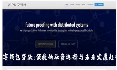 数字钱包贷款：便捷的融资选择与未来发展趋势