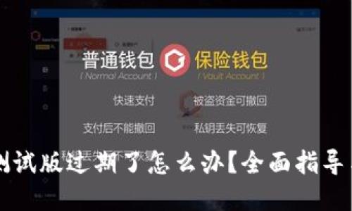 TPWallet测试版过期了怎么办？全面指导与解决方案