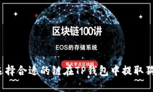 如何选择合适的链在TP钱包中提取狗狗币？