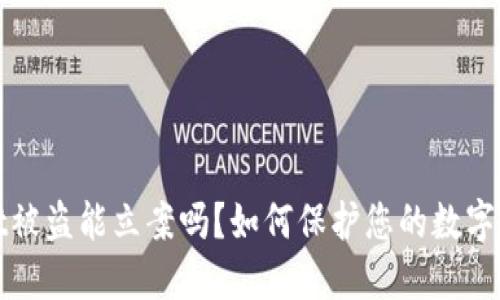 TPWallet被盗能立案吗？如何保护您的数字资产安全