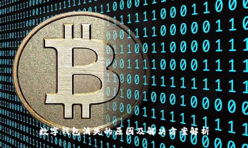 数字钱包消失的原因及解决方案解析