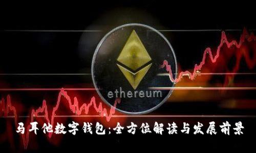 马耳他数字钱包：全方位解读与发展前景