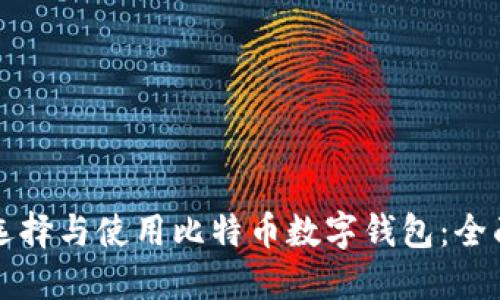 如何选择与使用比特币数字钱包：全面指南