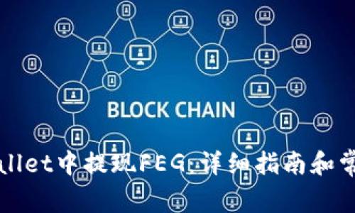 如何在TPWallet中提现FEG：详细指南和常见问题解答