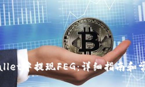 如何在TPWallet中提现FEG：详细指南和常见问题解答
