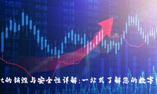 TPWallet的销毁与安全性详解：一站式了解您的数字资产管理