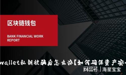 tpwallet私钥被骗后怎么办？如何确保资产安全？