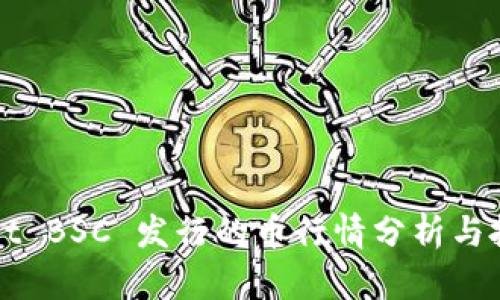 TPWallet BSC 发行的币行情分析与投资指南