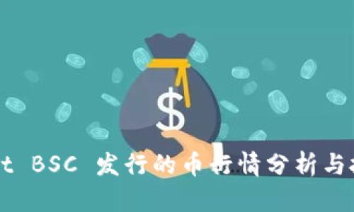 TPWallet BSC 发行的币行情分析与投资指南