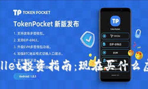 2023年TPWallet投资指南：现在买什么虚拟货币最好？