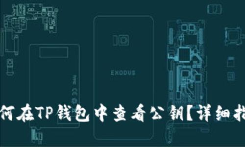 如何在TP钱包中查看公钥？详细指南