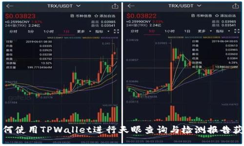 如何使用TPWallet进行天眼查询与检测报告获取
