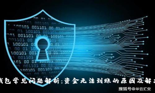 数字钱包常见问题解析：资金无法到账的原因及解决方案