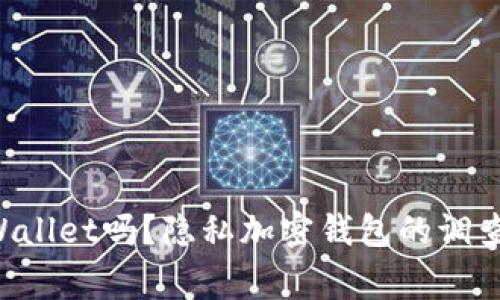 警察能查到TP Wallet吗？隐私加密钱包的调查与法律问题详解