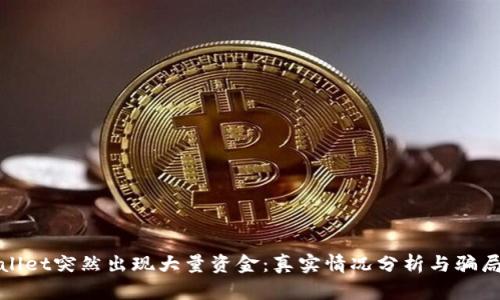 tpwallet突然出现大量资金：真实情况分析与骗局识别