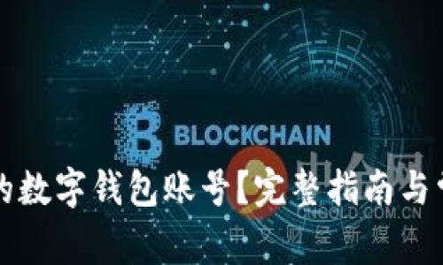 如何查看您的数字钱包账号？完整指南与常见问题解析