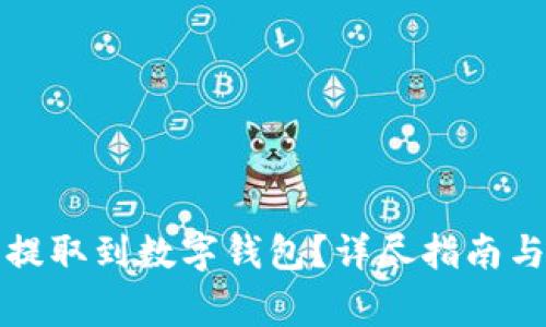 如何将狗狗币提取到数字钱包？详尽指南与常见问题解答