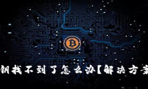 tpwallet私钥找不到了怎么办？解决方案与风险评估