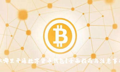 从哪里开通数字货币钱包？全面指南与注意事项