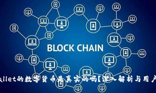 TPWallet的数字货币是真实的吗？深入解析与用户指南