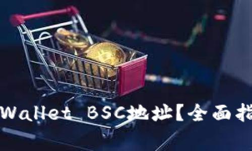 如何生成和使用TPWallet BSC地址？全面指南及常见问题解答