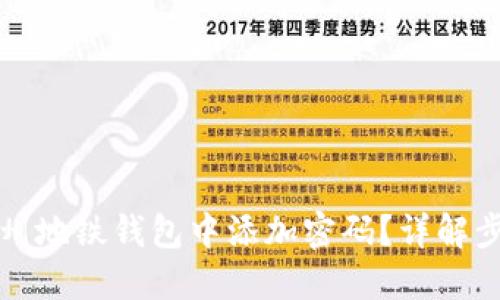 如何在广州地铁钱包中添加密码？详解步骤与技巧