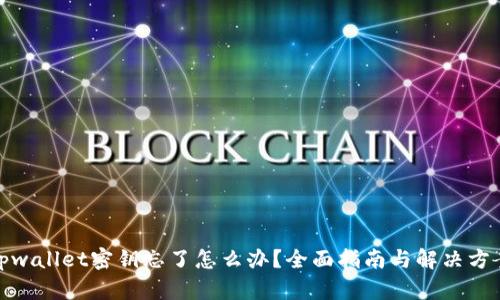 tpwallet密钥忘了怎么办？全面指南与解决方案