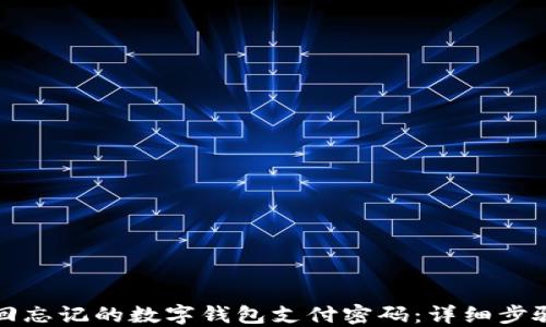 
如何找回忘记的数字钱包支付密码：详细步骤与技巧