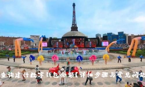 如何查询建行数字钱包余额？详细步骤与常见问题解答