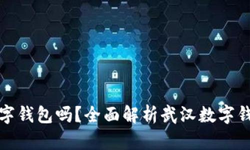 武汉能用数字钱包吗？全面解析武汉数字钱包使用现状