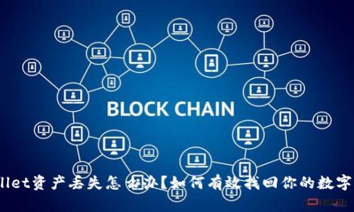 tpwallet资产丢失怎么办？如何有效找回你的数字资产?