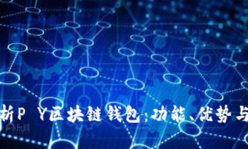 全面分析P Y区块链钱包：功能、优势与安全性