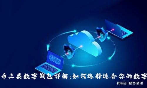 数字人民币三类数字钱包详解：如何选择适合你的数字支付方式