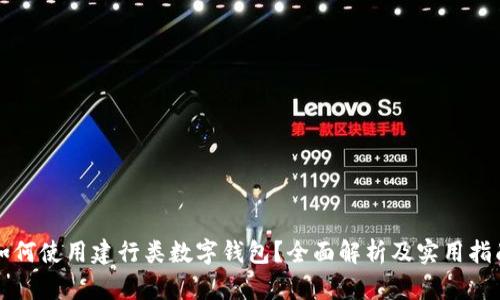 如何使用建行类数字钱包？全面解析及实用指南